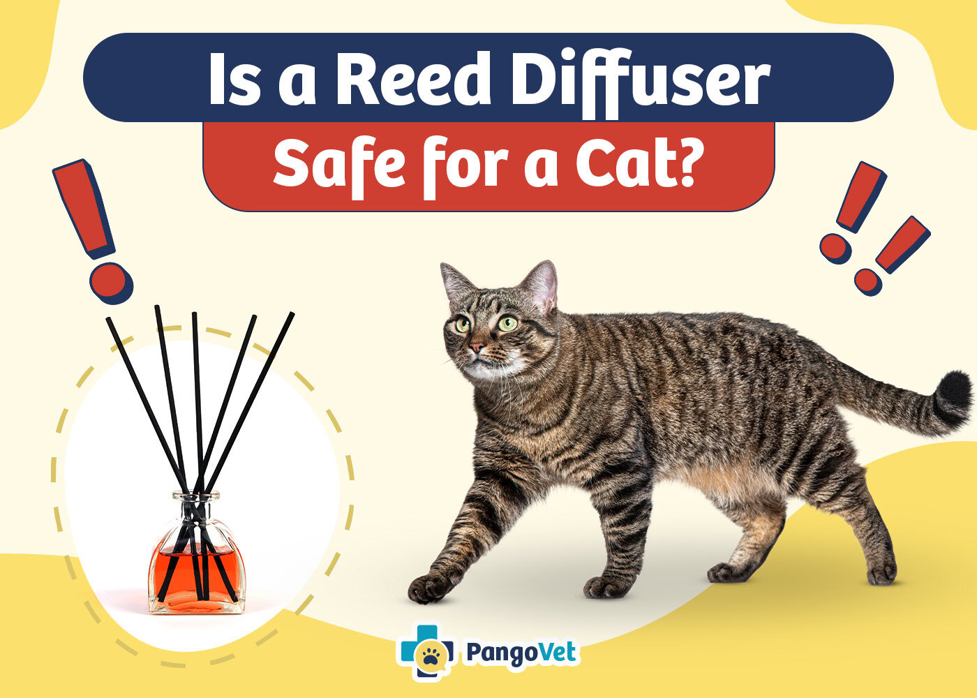 PangoVet_Is a Reed Diffuser Safe for a Cat