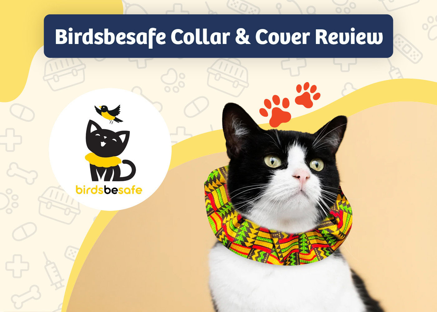 PangoVet_Review_Birdsbesafe Collar & Cover Review
