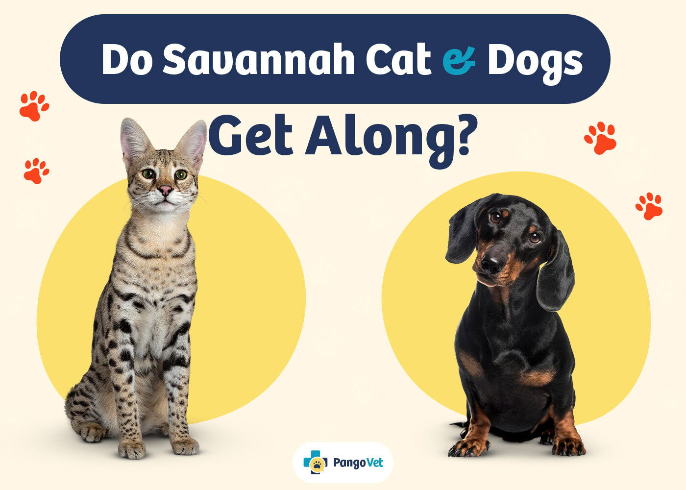 PangoVet_Savannah Dogs Get Along_v1_Aug 8 2024