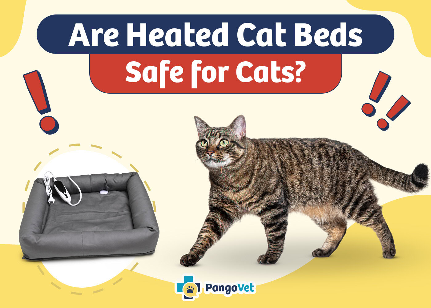 PangoVet_Are Heated Cat Beds Safe for Cats
