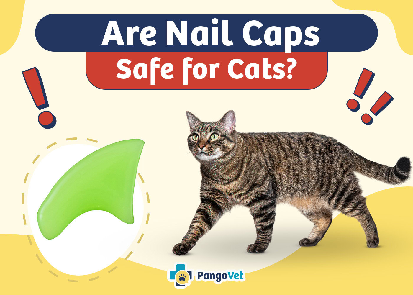PangoVet_Are Nail Caps Safe for Cats