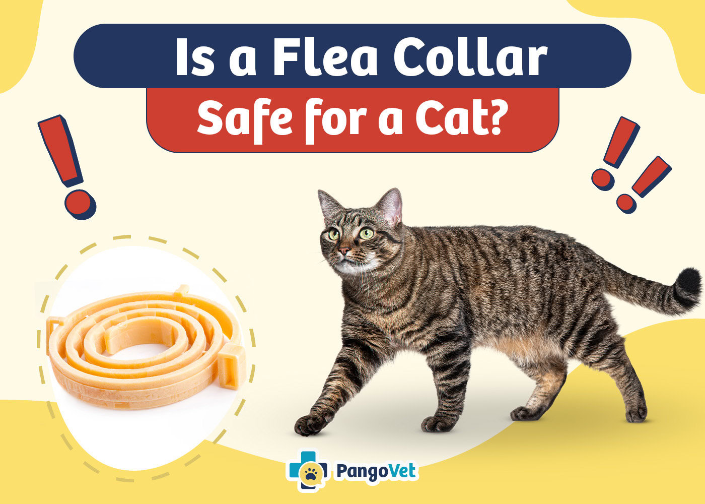 PangoVet_Is a Flea Collar Safe for Cats