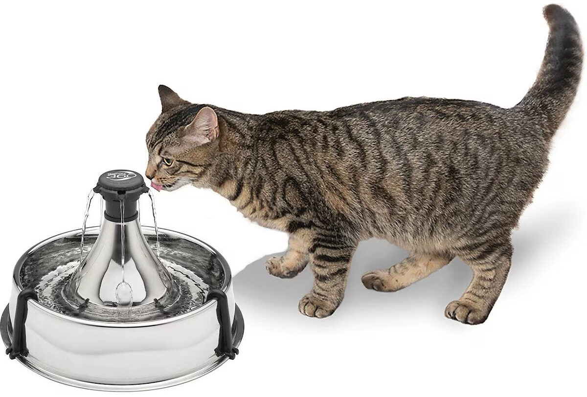 Drinkwell Stainless Steel Pet Water Fountain