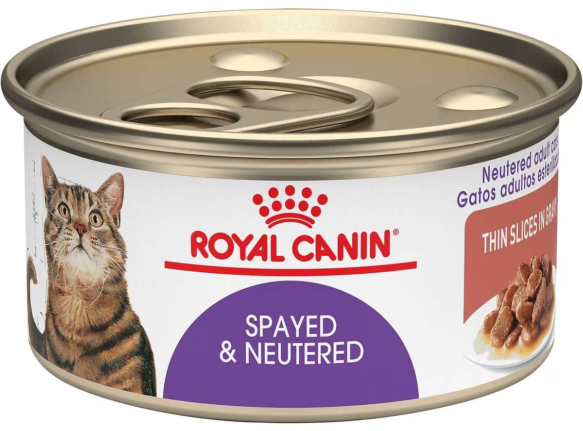 Royal Canin Feline Spayed/Neutered Canned Cat Food