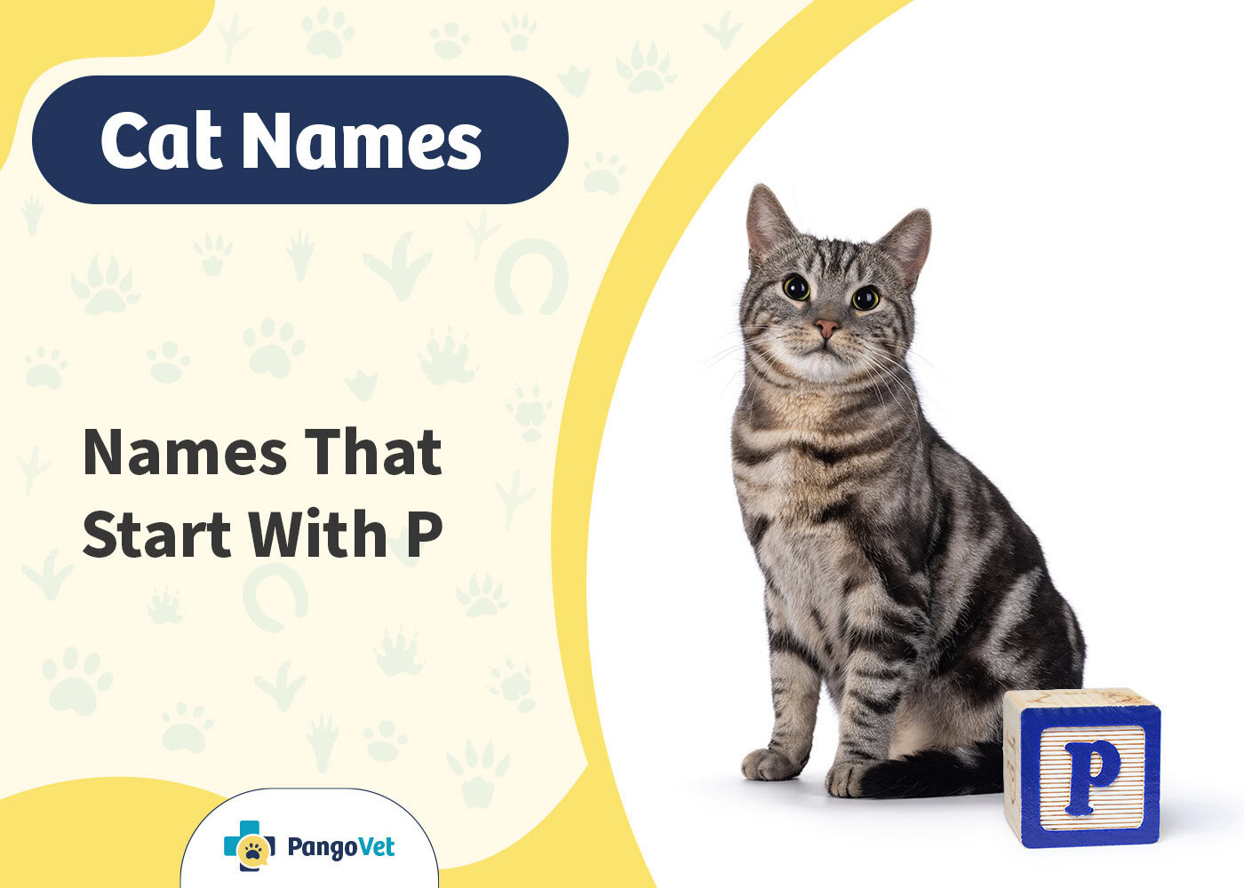 PangoVet_Cat Names that Start with P