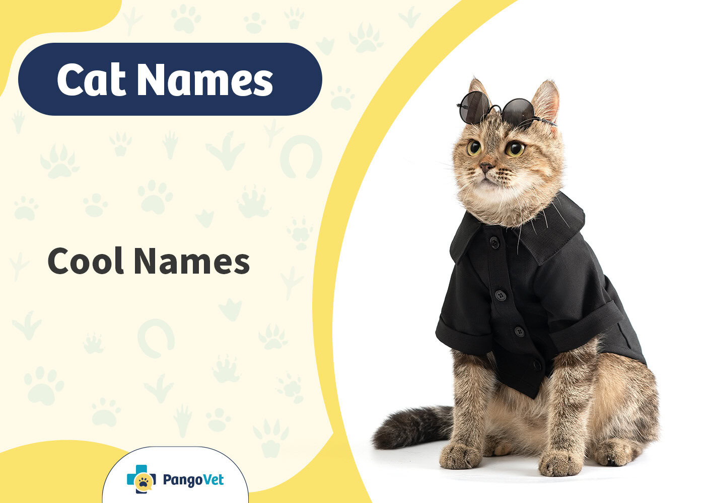 PangoVet_Cool Cat Names