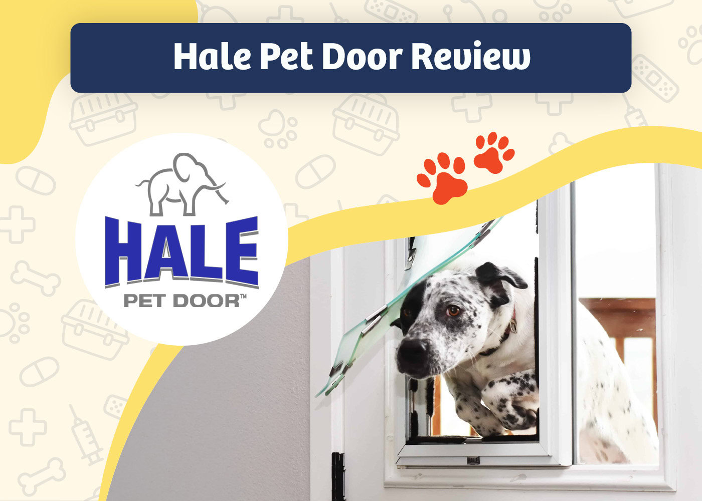PangoVet_Review_Hale Pet Door Review