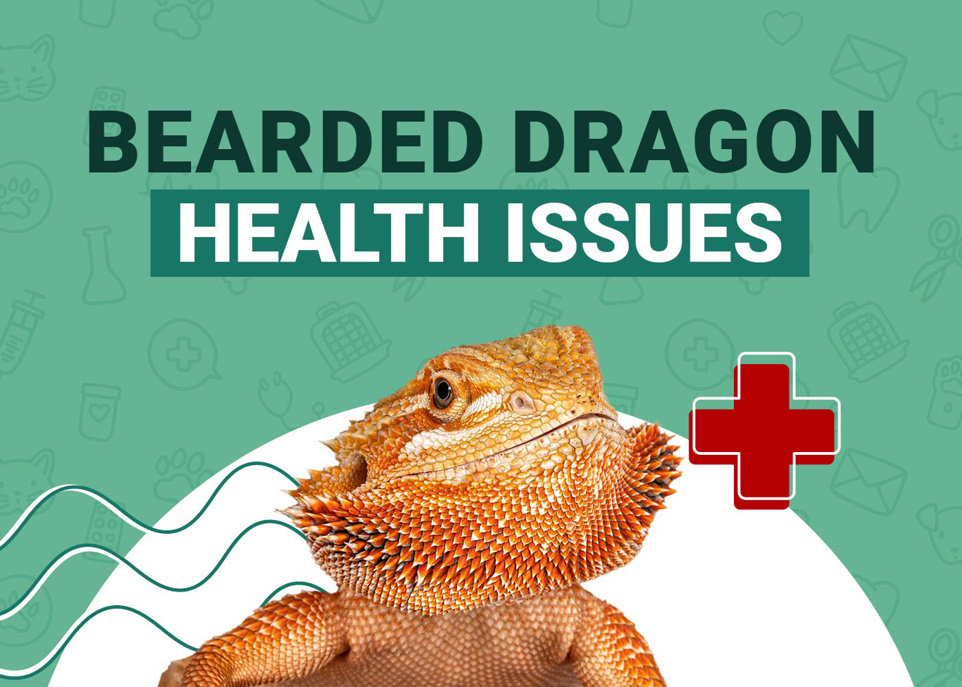 Bearded Dragon Health Issue