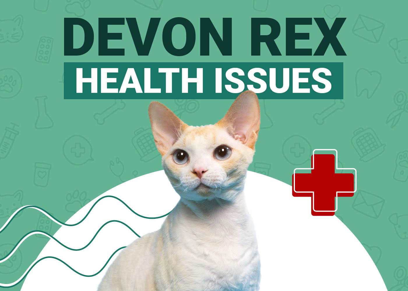 Devon Rex Cat Health Problems