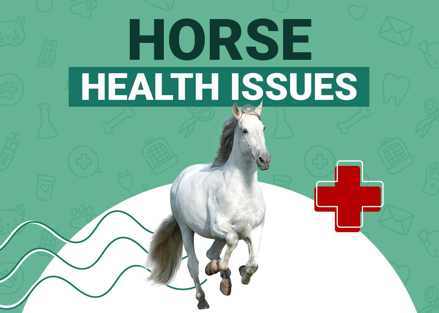 Horse Health Problems, Illnesses & Diseases