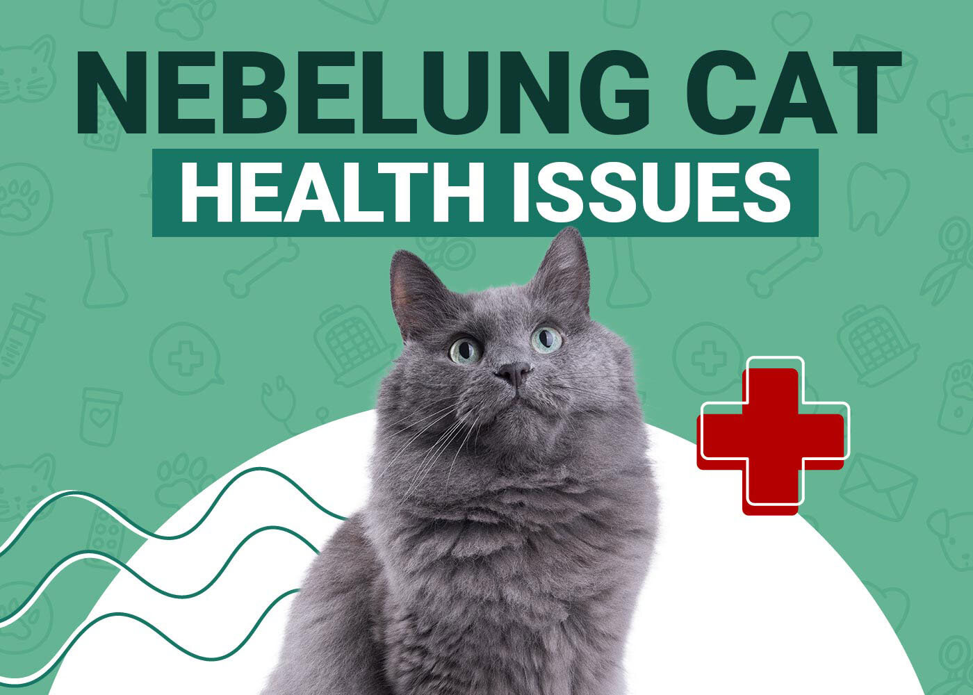 Nebelung Cat Health Problems