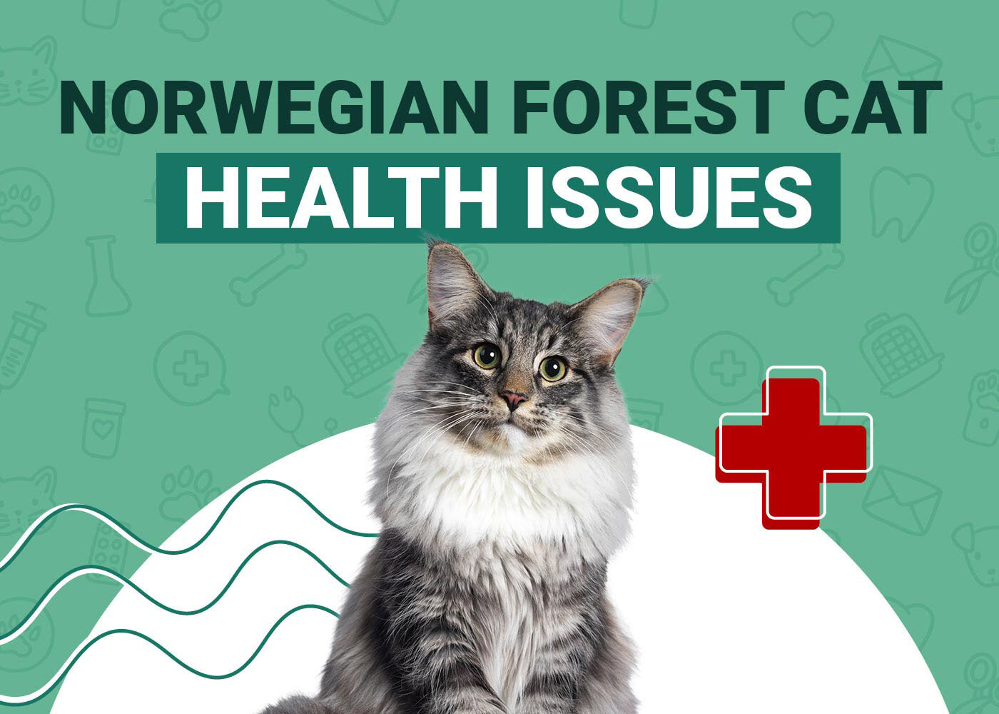 Norwegian Forest Cat Health Problems