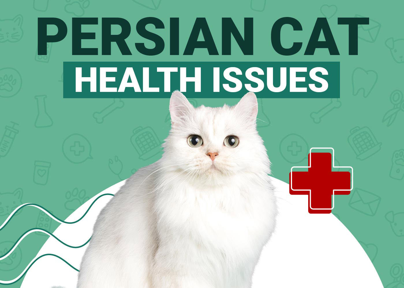 Persian Cat Health Problems