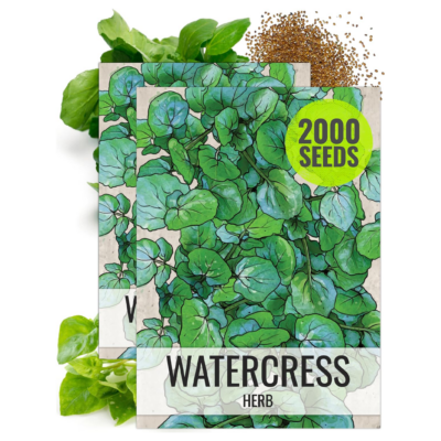 Watercress