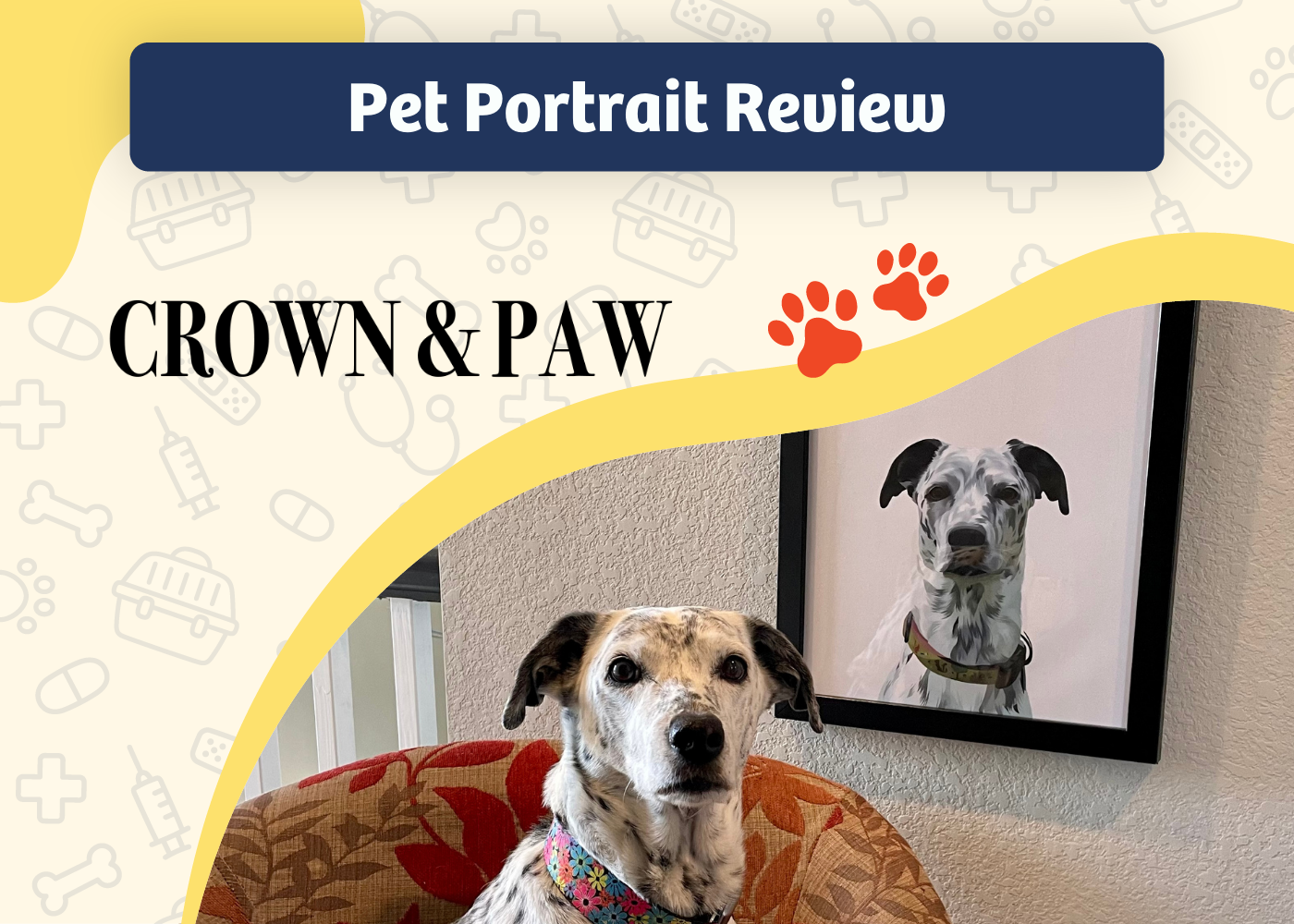 Crown & Paw Pet Portrait