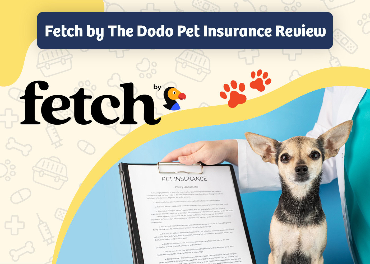 PangoVet_Review_Fetch by The Dodo Pet Insurance Review