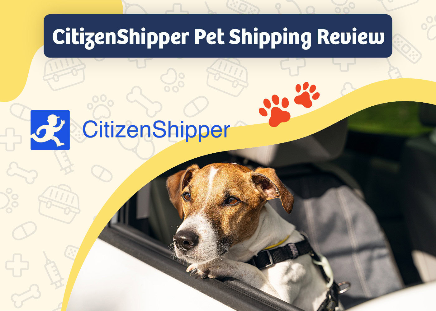 PangoVet_Review_CitizenShipper Pet Shipping Review