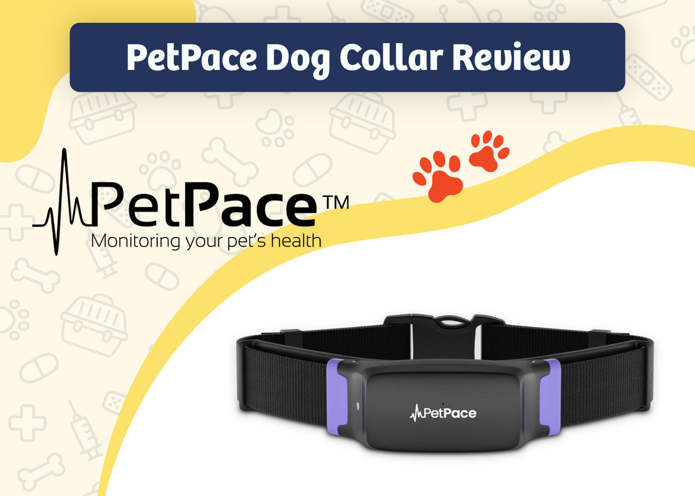 PangoVet_Review_PetPace Dog Collar Review