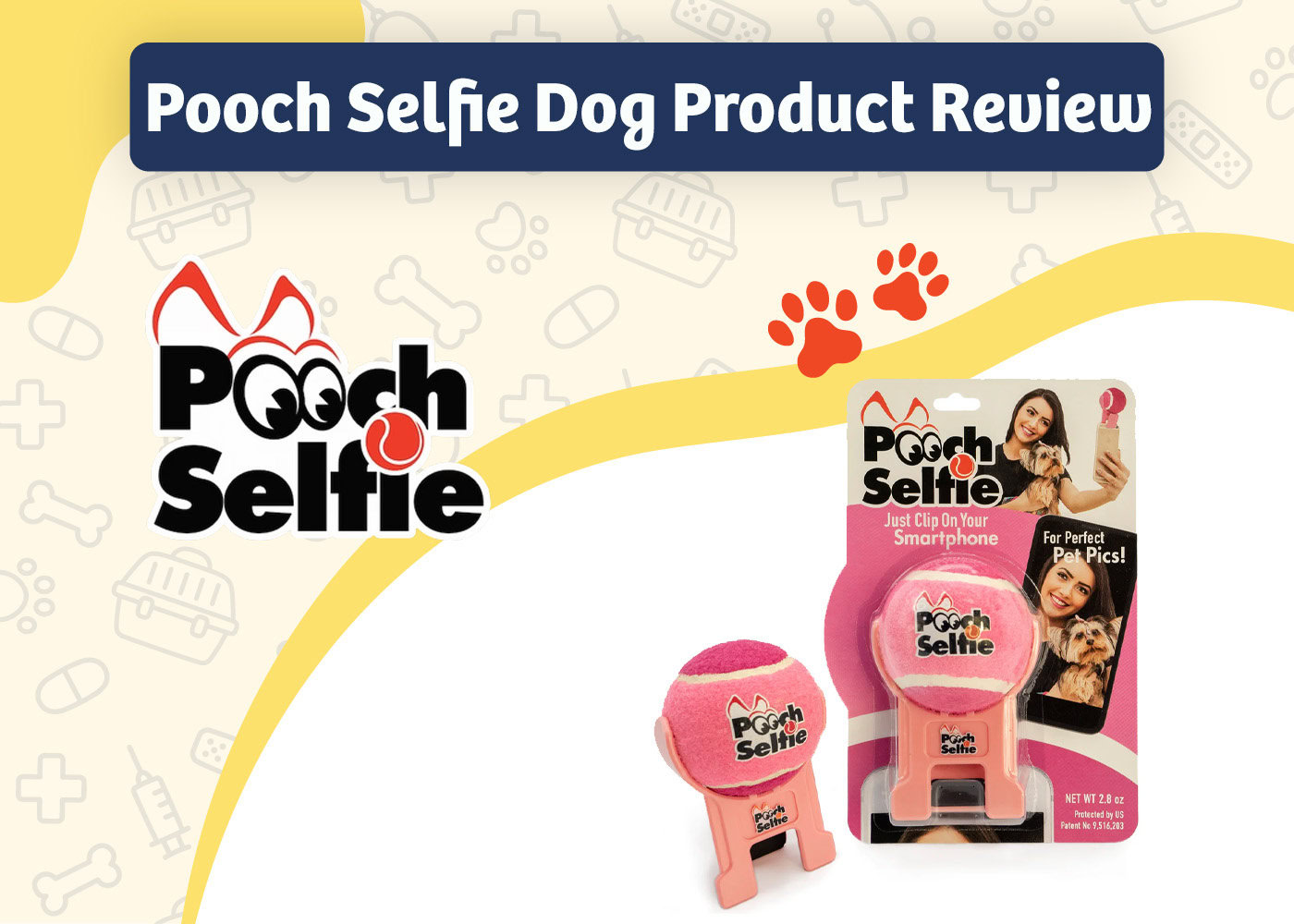 PangoVet_Review_Pooch Selfie Dog Product Review