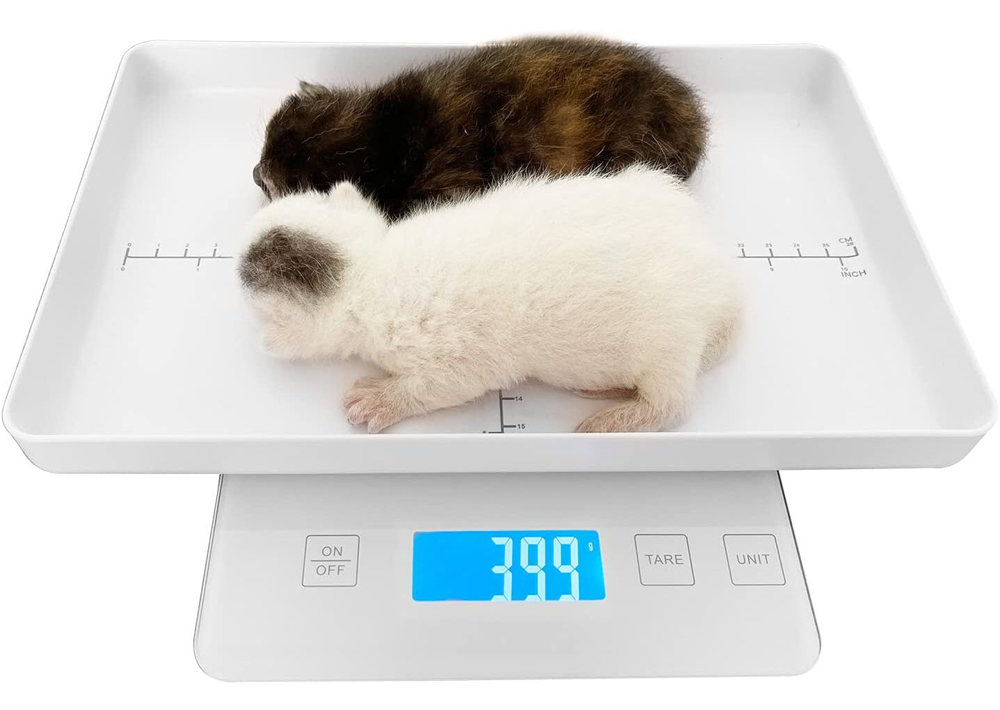 11lbs_0.1g Pet Scale for Small Animal