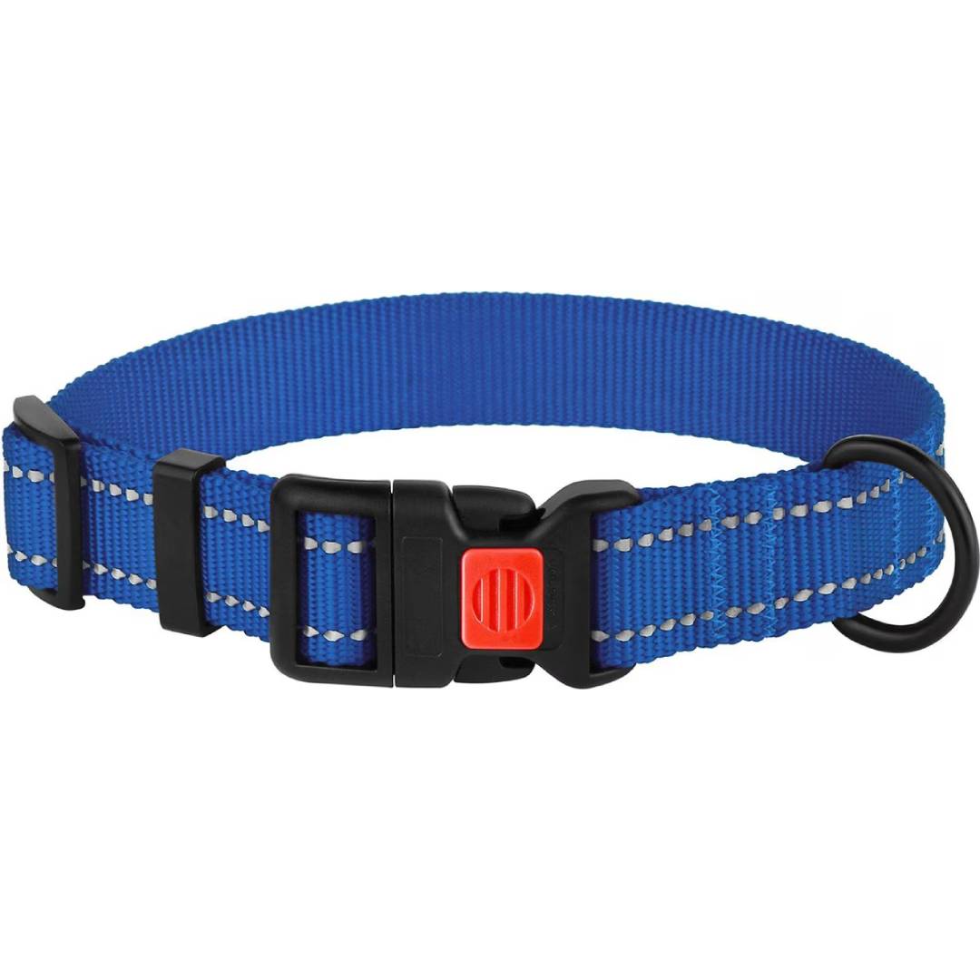 CollarDirect collar