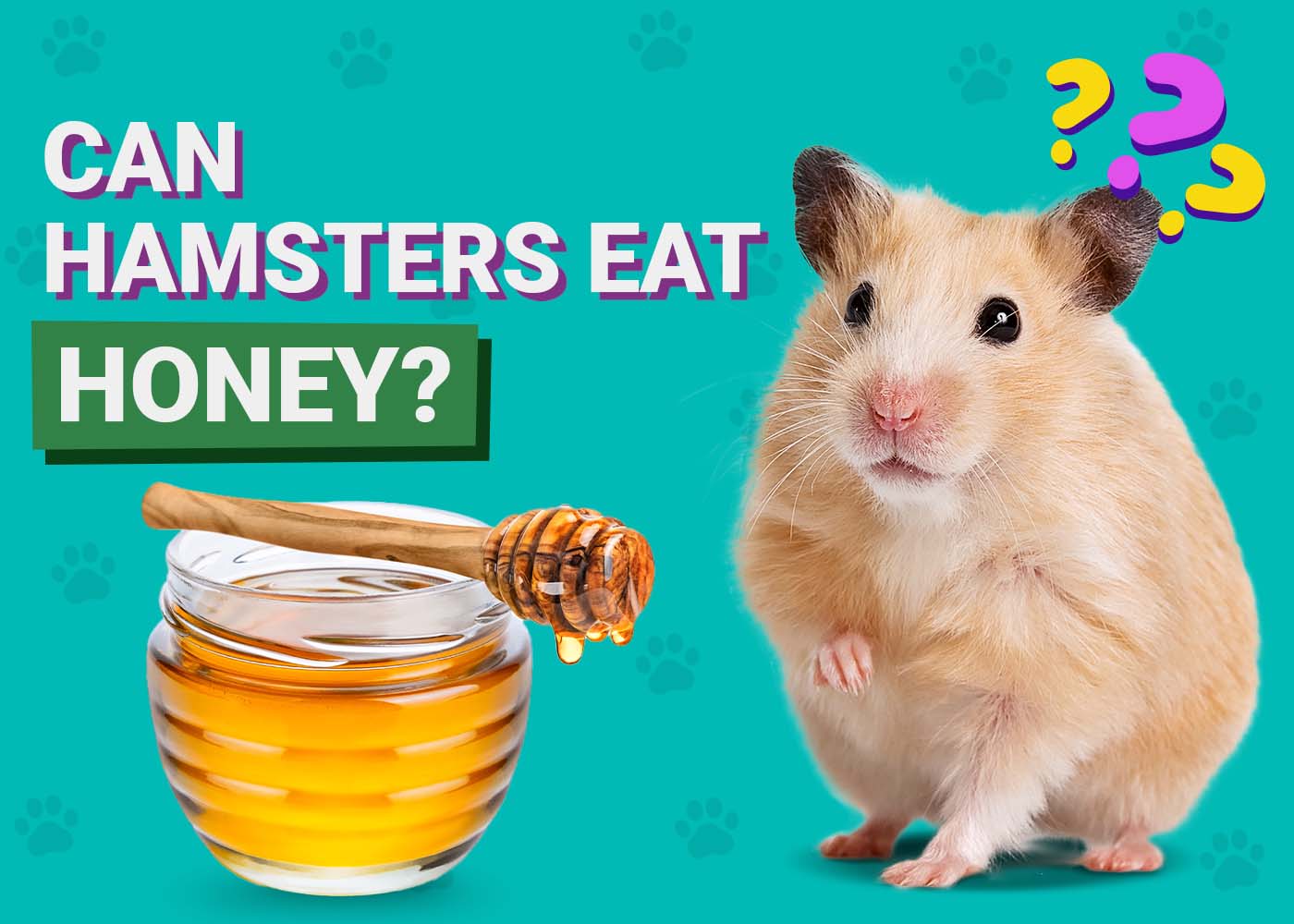 PangoVet_Can-Hamsters-Eat-Honey