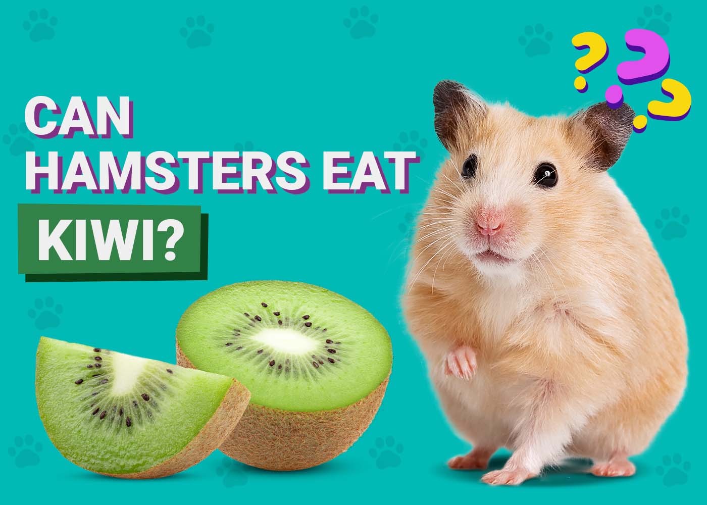 PangoVet_Can-Hamsters-Eat-Kiwi