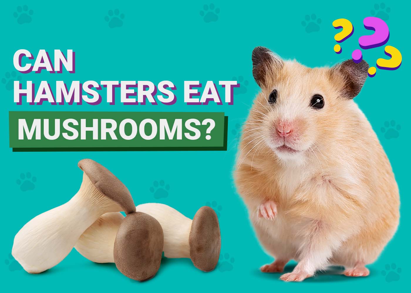 PangoVet_Can-Hamsters-Eat-Mushrooms