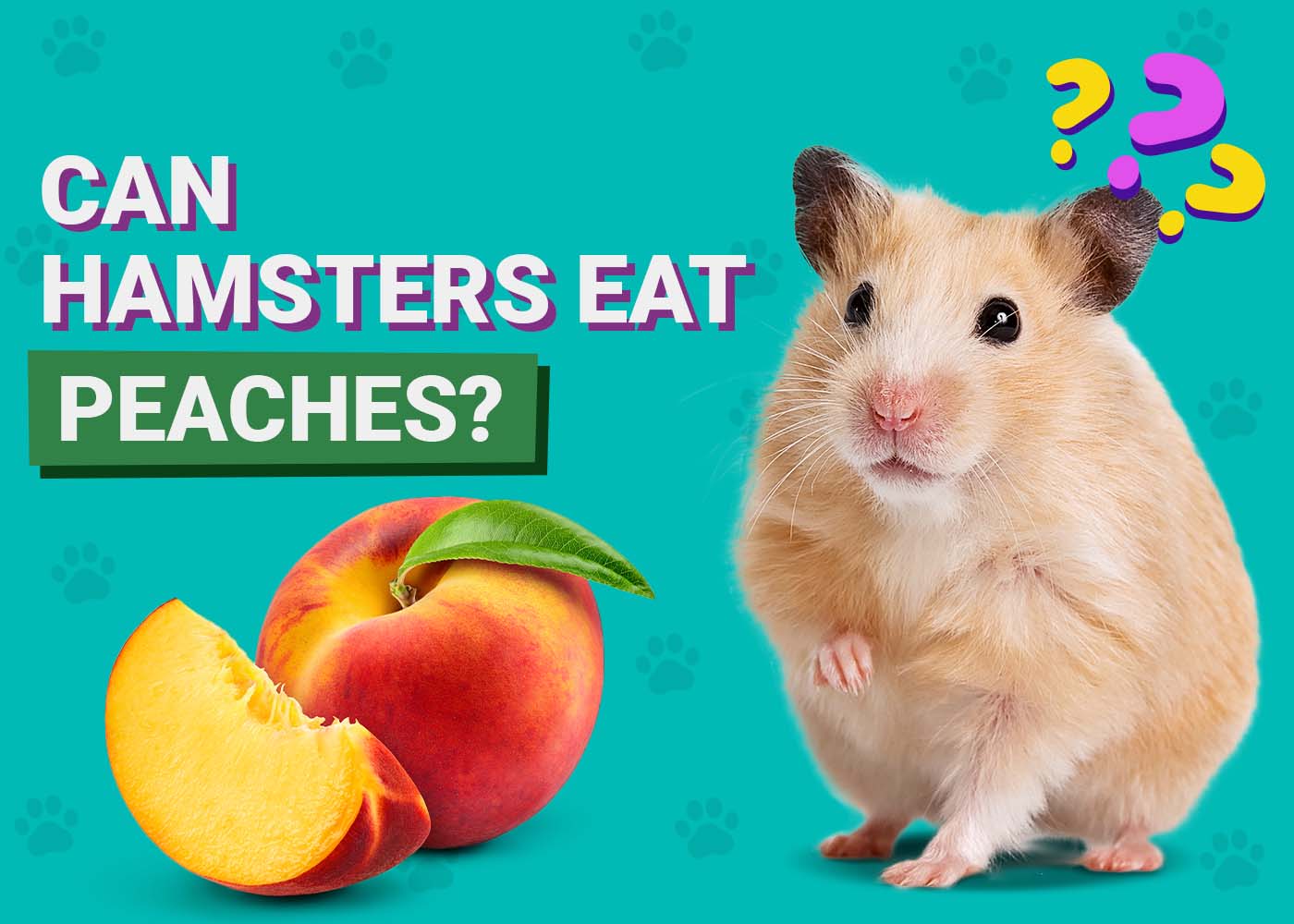PangoVet_Can-Hamsters-Eat-Peaches