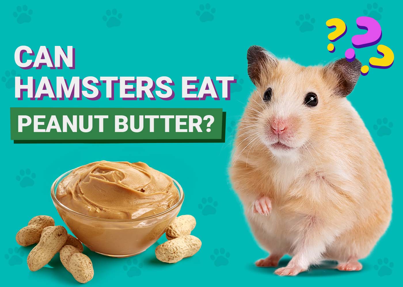 PangoVet_Can-Hamsters-Eat-Peanut Butter
