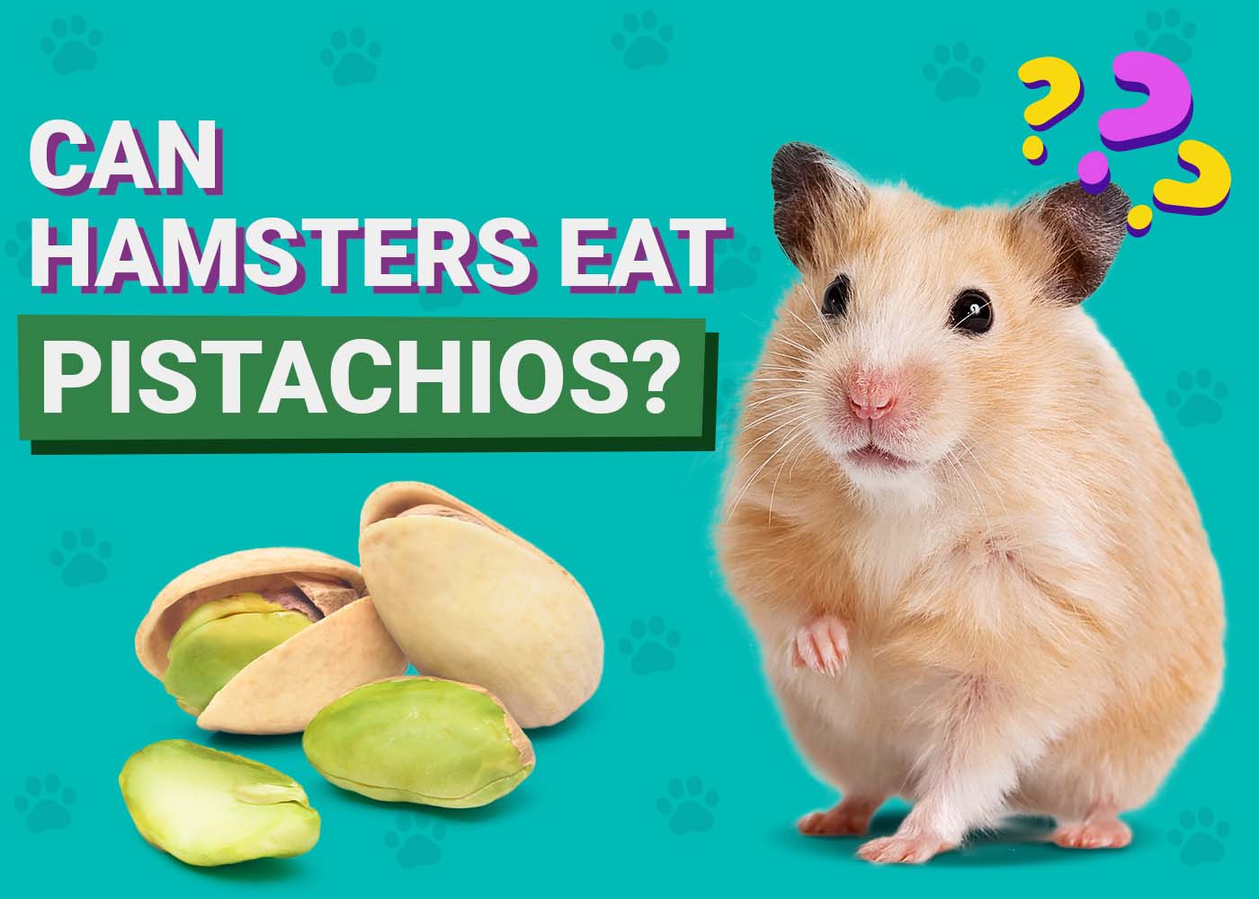 PangoVet_Can-Hamsters-Eat-Pistachios