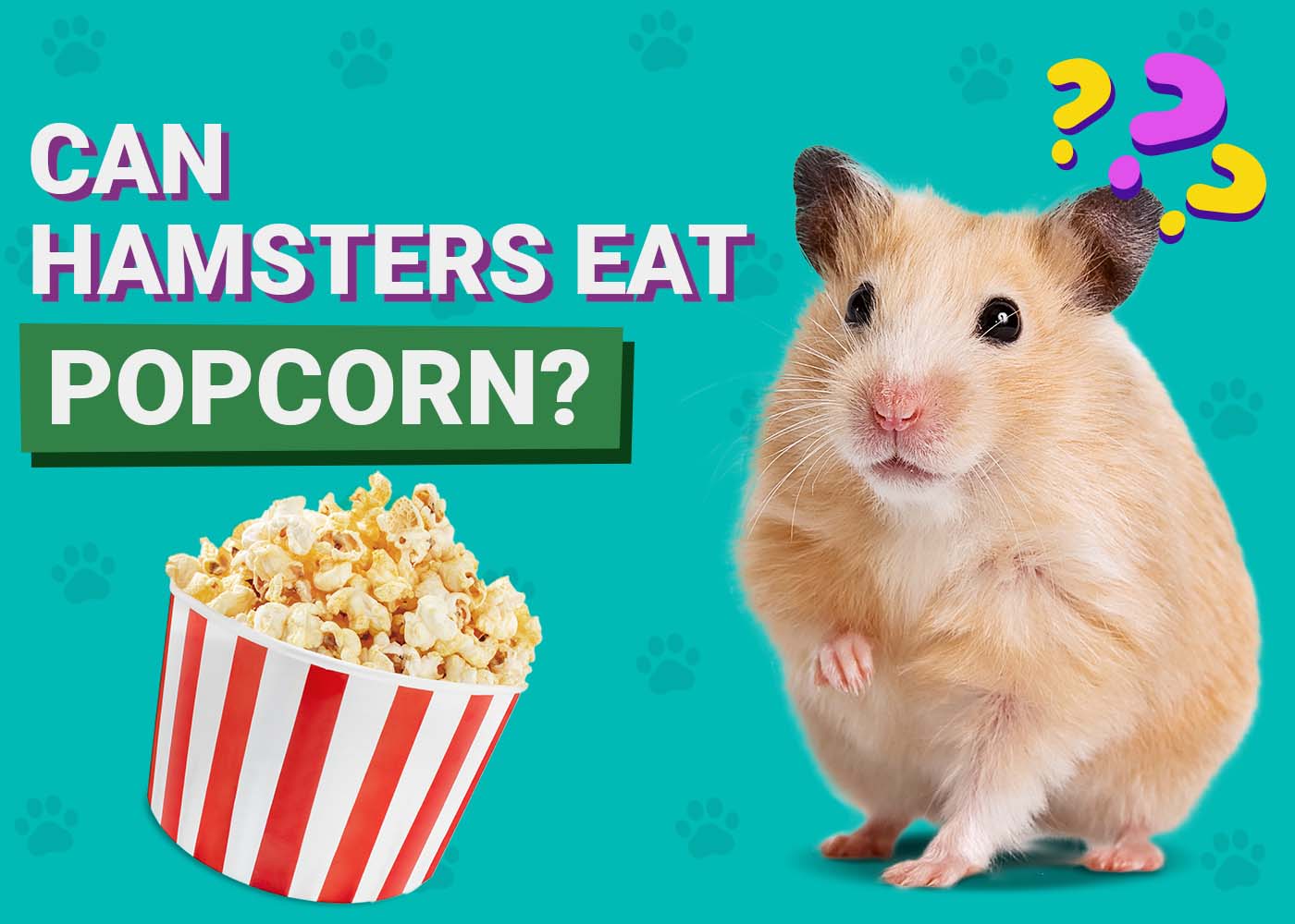 PangoVet_Can-Hamsters-Eat-Popcorn