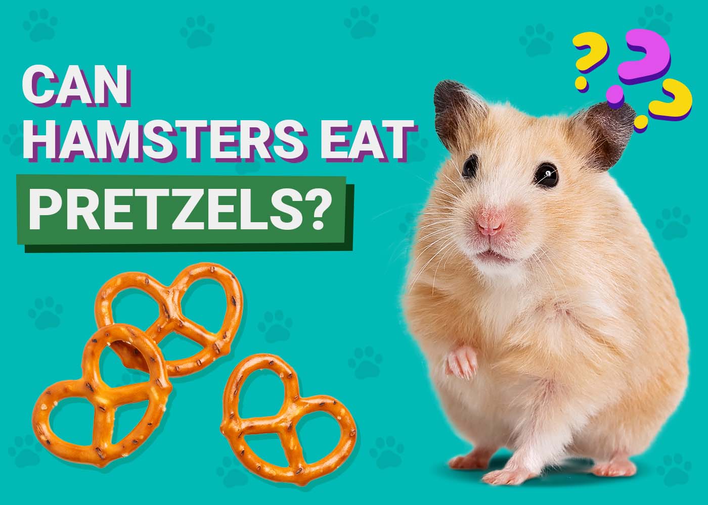 PangoVet_Can-Hamsters-Eat-Pretzels