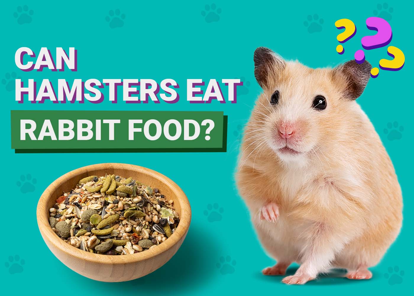 PangoVet_Can-Hamsters-Eat-Rabbit Food