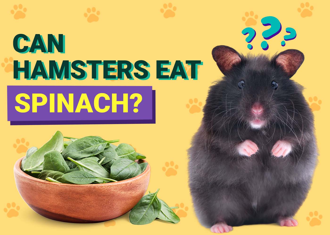 PangoVet_Can-Hamsters-Eat-Spinach