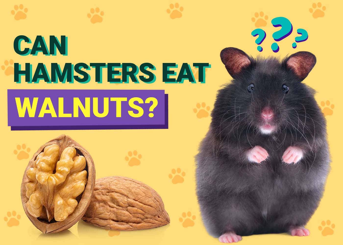 PangoVet_Can-Hamsters-Eat-Walnuts
