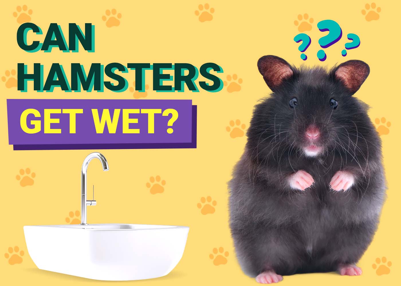 PangoVet_Can-Hamsters-Get-Wet