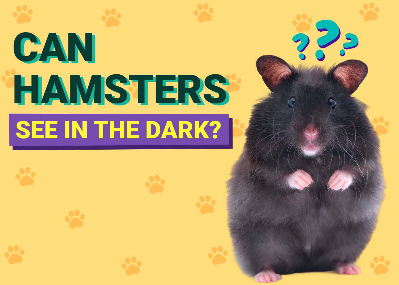 PangoVet_Can-Hamsters-See-in-the-dark