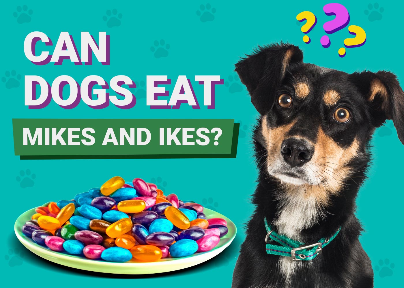 Can Dogs Eat Mike and Ikes