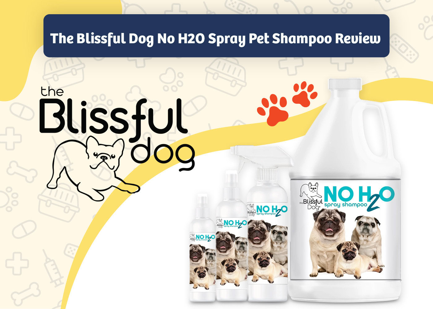 PangoVet_Review_The Blissful Dog No H2O Spray Pet Shampoo Review