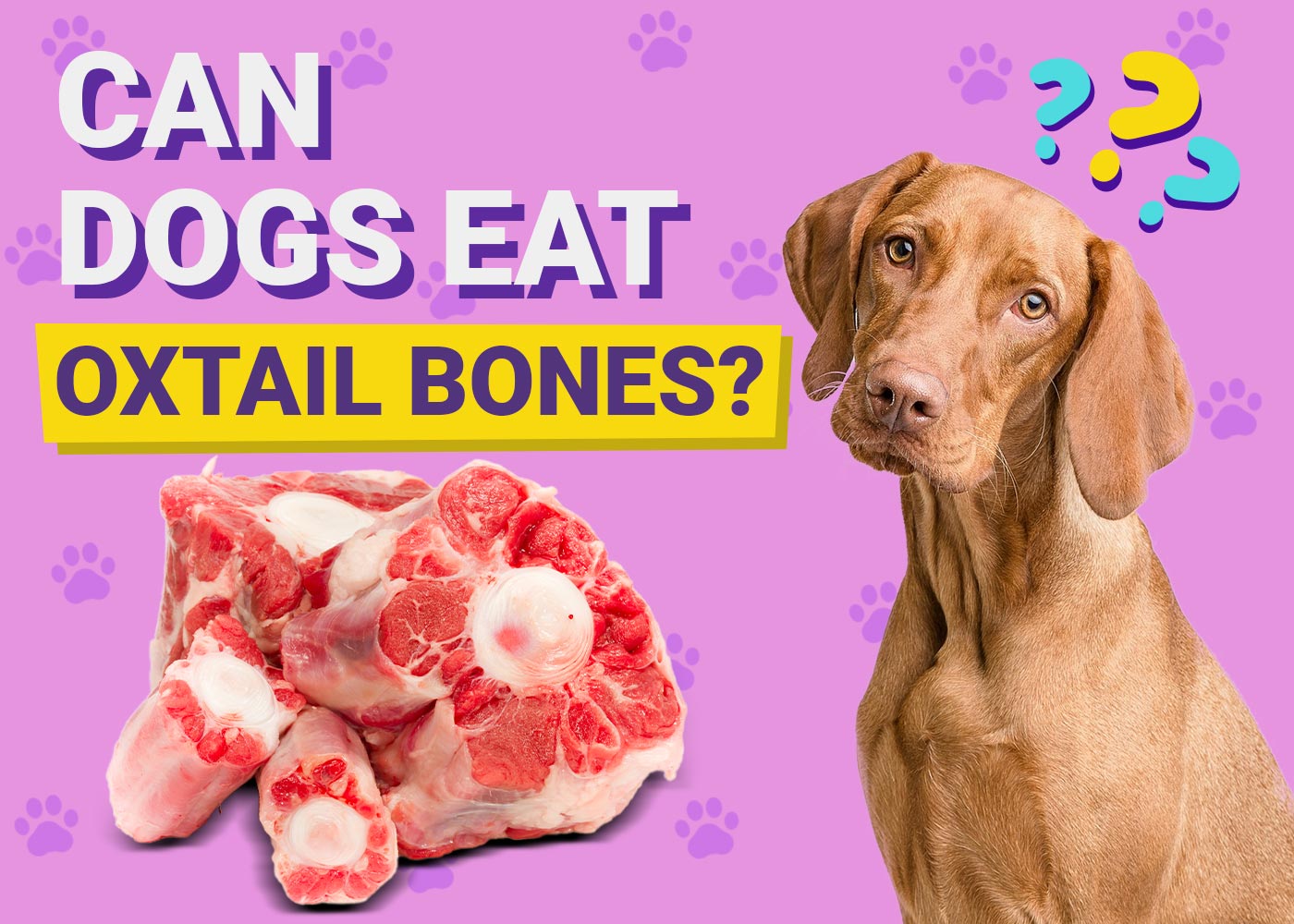 Can Dogs Eat Oxtail Bones