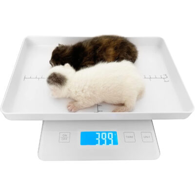 MINDPET-MED Pet Scale for Small Animals