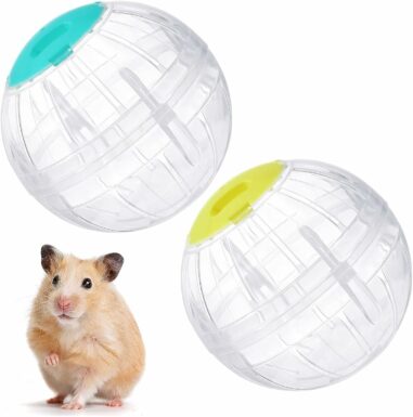 2 Pieces Hamster Exercise Ball