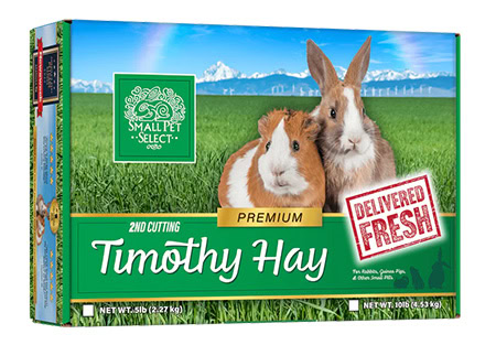 2nd Cutting Timothy Hay