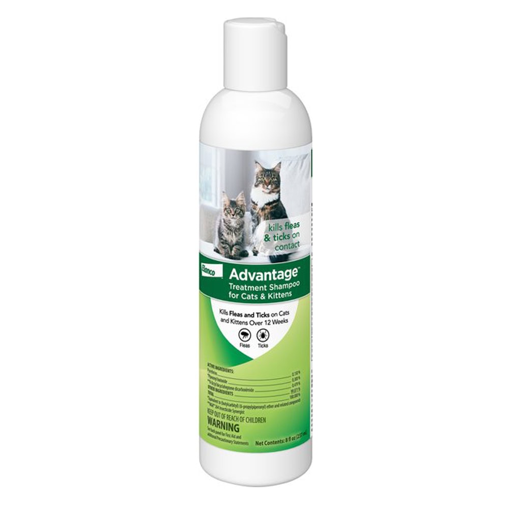 Advantage Flea & Tick Treatment Shampoo for Cats & Kittens