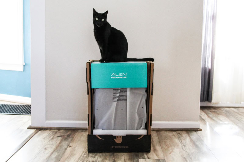 Alen BreatheSmart 45i True HEPA Air Purifier - black cat sitting on top of the product