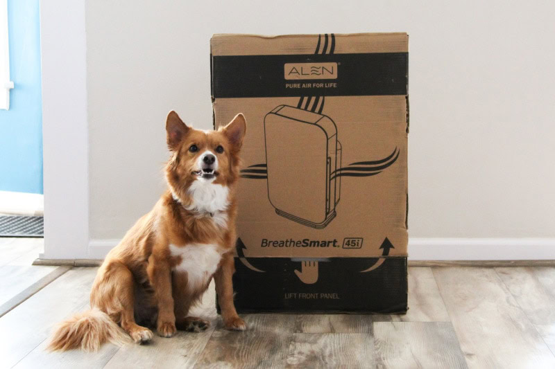 Alen BreatheSmart 45i True HEPA Air Purifier - dog sitting beside the box