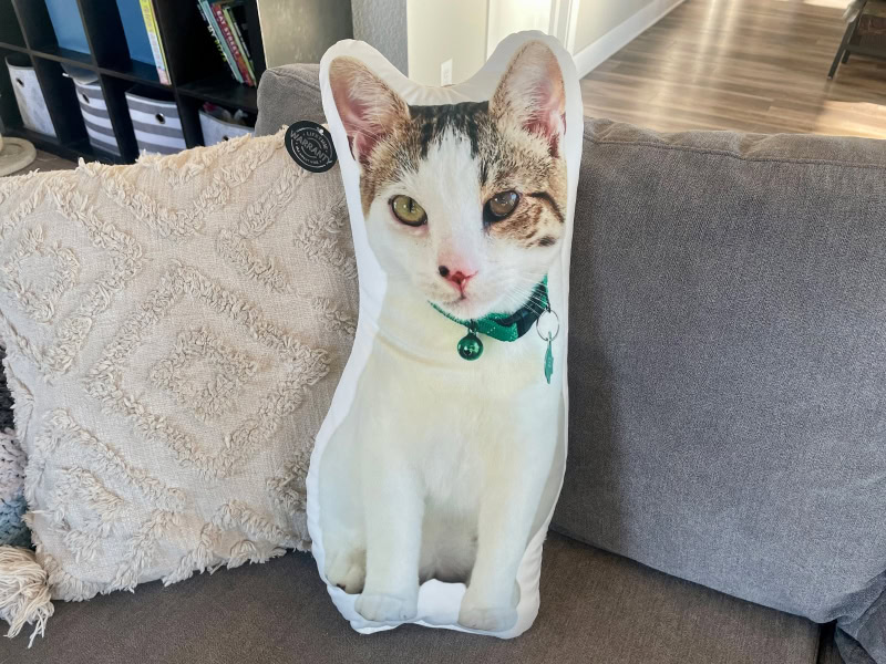 All About Vibe Custom Shaped Pillow - product next to the pillows