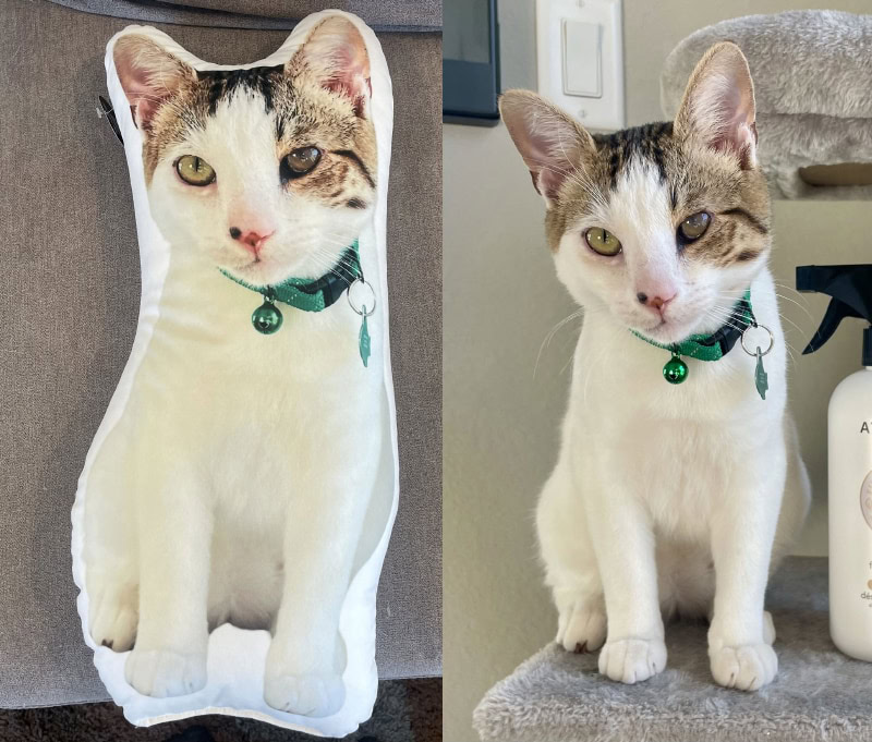 All About Vibe Custom Shaped Pillow - side by side