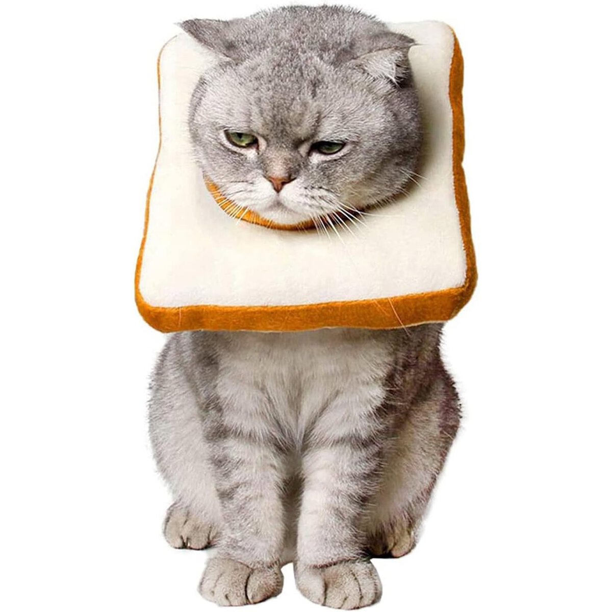 Amakunft Soft Adjustable Cat Recovery Collar new